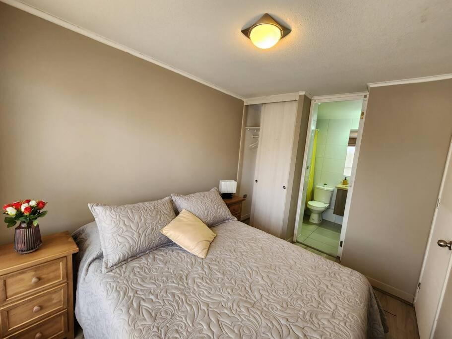 Acogedor Apartamento En Centro De Santiago. المظهر الخارجي الصورة